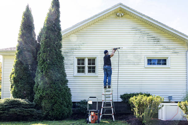 Best House Exterior Washing  in Byron, MN