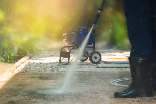 Animal Enclosure Cleaning in Byron, MN